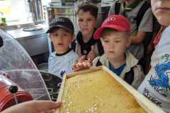 IMG-20230708-WA0018