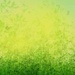 HP_Background